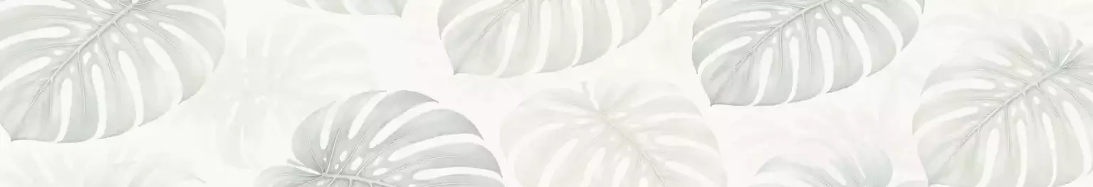 The Natural Health Centre